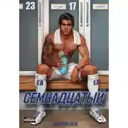 Постер книги Семнадцатый