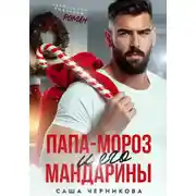 Постер книги Папа-Мороз и его мандарины