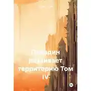 Постер книги Паладин развивает территорию. Том IV