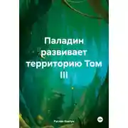 Постер книги Паладин развивает территорию. Том III