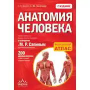 Постер книги Анатомия человека