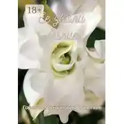 Постер книги Ее звали Лилия. Москва, 2024 г.