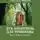 Александр Мирный - Дух-хранитель для травницы. Цикл «Вечная любовь»