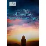 Постер книги Агентство потерянных душ