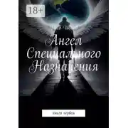 Постер книги Ангел Специального Назначения. книга первая