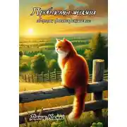 Постер книги Проблемы жизни