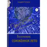 Постер книги Взломщик. Сожженное лето