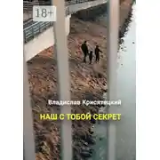 Постер книги Наш с тобой секрет. Повесть