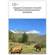 Постер книги Истории хозяйственного магазина