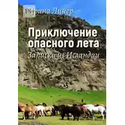 Постер книги Приключение опасного лета. Записки из Исландии