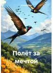 Нина Долгова - Полёт за мечтой