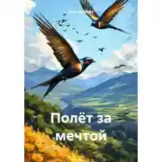Постер книги Полёт за мечтой