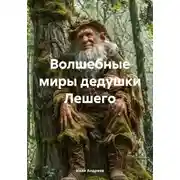 Постер книги Волшебные миры дедушки Лешего
