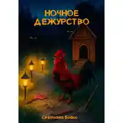 Постер книги Ночное дежурство