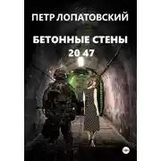 Постер книги Бетонные стены 2047