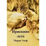 Постер книги Ирискино лето