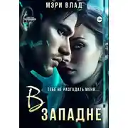 Постер книги В западне