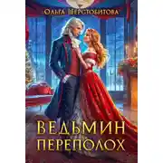 Постер книги Ведьмин переполох