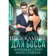 Постер книги Предсказание для босса