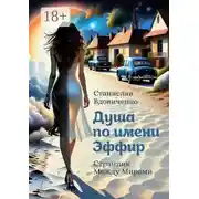 Постер книги Душа по имени Эффир. Странник между мирами