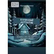 Постер книги Каминный детектив. История о том, как обрести настоящих друзей