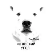 Постер книги Медвежий угол