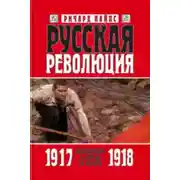 Постер книги Русская революция. Книга 2. Большевики в борьбе за власть. 1917—1918