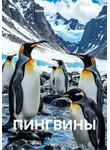 Евгения Марцишевская - Пингвины