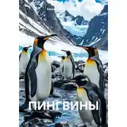 Постер книги Пингвины