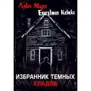 Постер книги Избранник темных кладов
