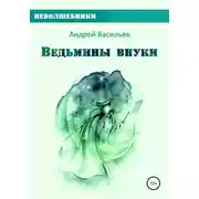 Постер книги Ведьмины внуки