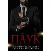 Постер книги Паук