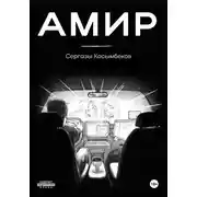 Постер книги Амир