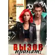 Постер книги Вызов принят!