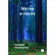Постер книги Метла и посох