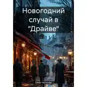 Постер книги Новогодний случай в «Драйве»