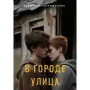 Постер книги В городе улица