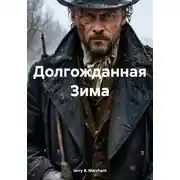 Постер книги Долгожданная Зима