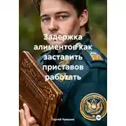 Постер книги Задержка алиментов как заставить приставов работать