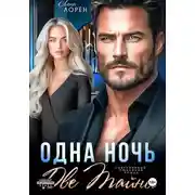 Постер книги Одна ночь. Две тайны