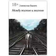 Постер книги Между жизнью и жизнью