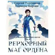 Постер книги Верховный маг Ордена