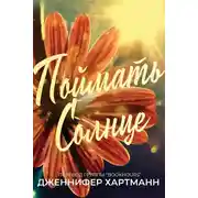 Постер книги Поймать солнце