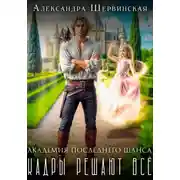 Постер книги Академия Последнего Шанса – 1. Кадры решают всё