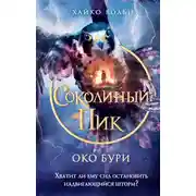 Постер книги Соколиный пик. Око бури