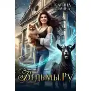 Постер книги Ведьмы.Ру