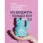 Постер книги Из бюджета только кот 2.0