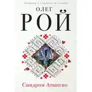 Постер книги Синдром Атяшево