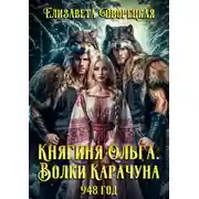 Постер книги Княгиня Ольга. Волки Карачуна