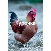 Постер книги Курочка